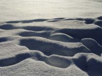 wyrzeźbione na śniegu ślady... tędy niedawno ktoś wędrował
