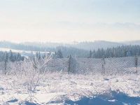 majestatyczne, ostro zakończona linia gór widoczna jest już z daleka