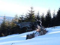 A także zatopiona w ciszy górska przyroda.