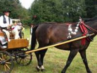 Gazdowie z Kościeliskiej zapraszają do wspólnej zabawy. W konkursowe szranki staną m.in. fiakrzy. Fot. Rafał Gratkowski